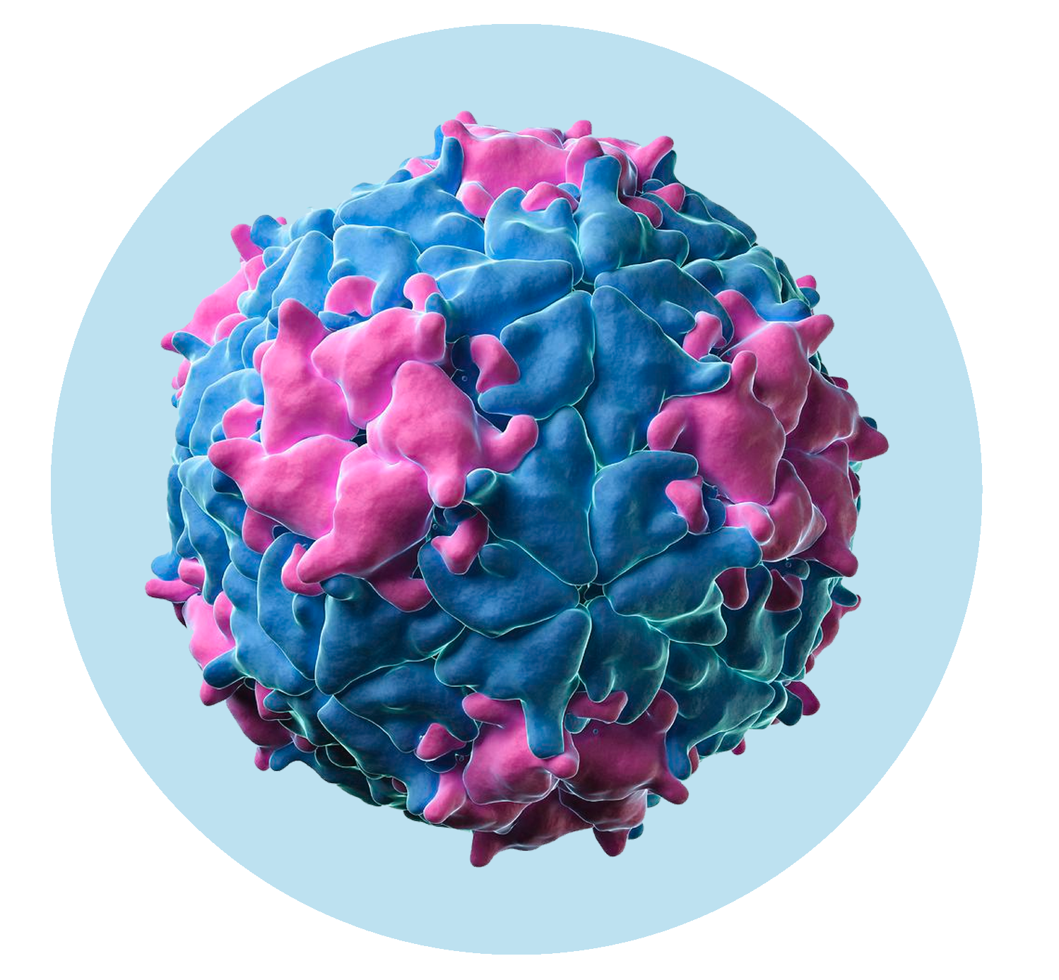 Search results | ДПО СГМУ